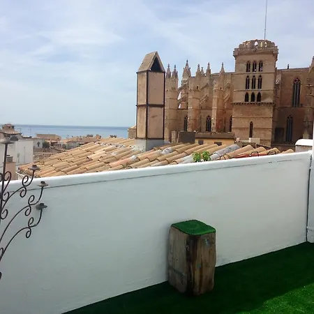 Hostel Pura Vida - Juvenil Palma de Mallorca