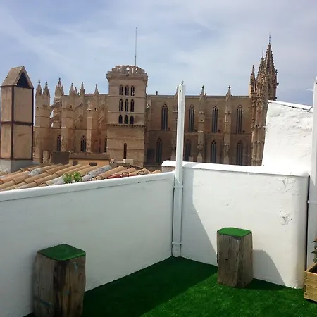 Pura Vida - Juvenil * Palma de Mallorca