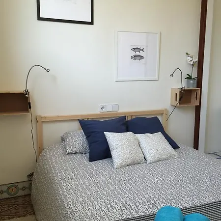 Hostel Pura Vida - Juvenil